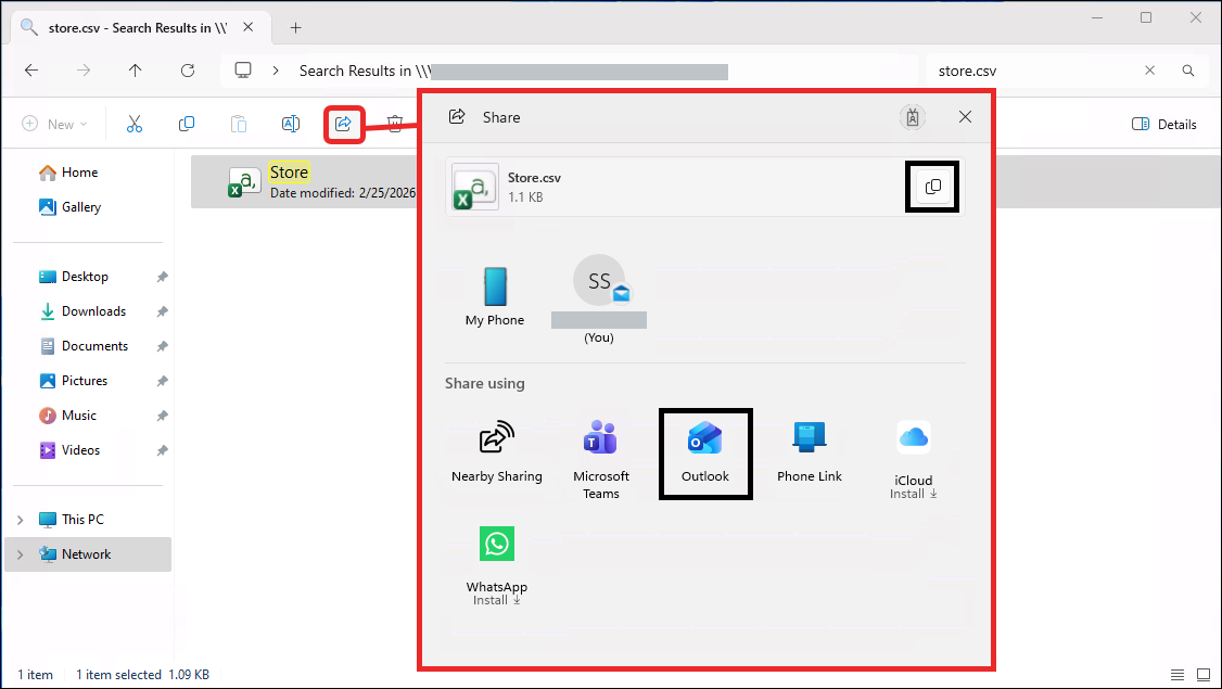share options for store file.png